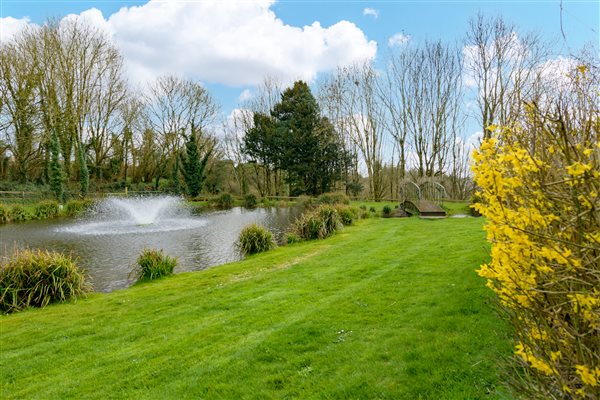 Pond and Fountain